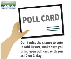 mid sussex elections