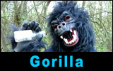 Gordon The Gorilla
