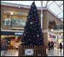 market place shopping centre christmas tree