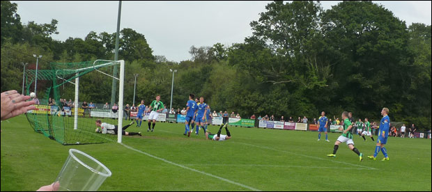 burgess hill town fc