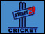 Street 20 Cricket